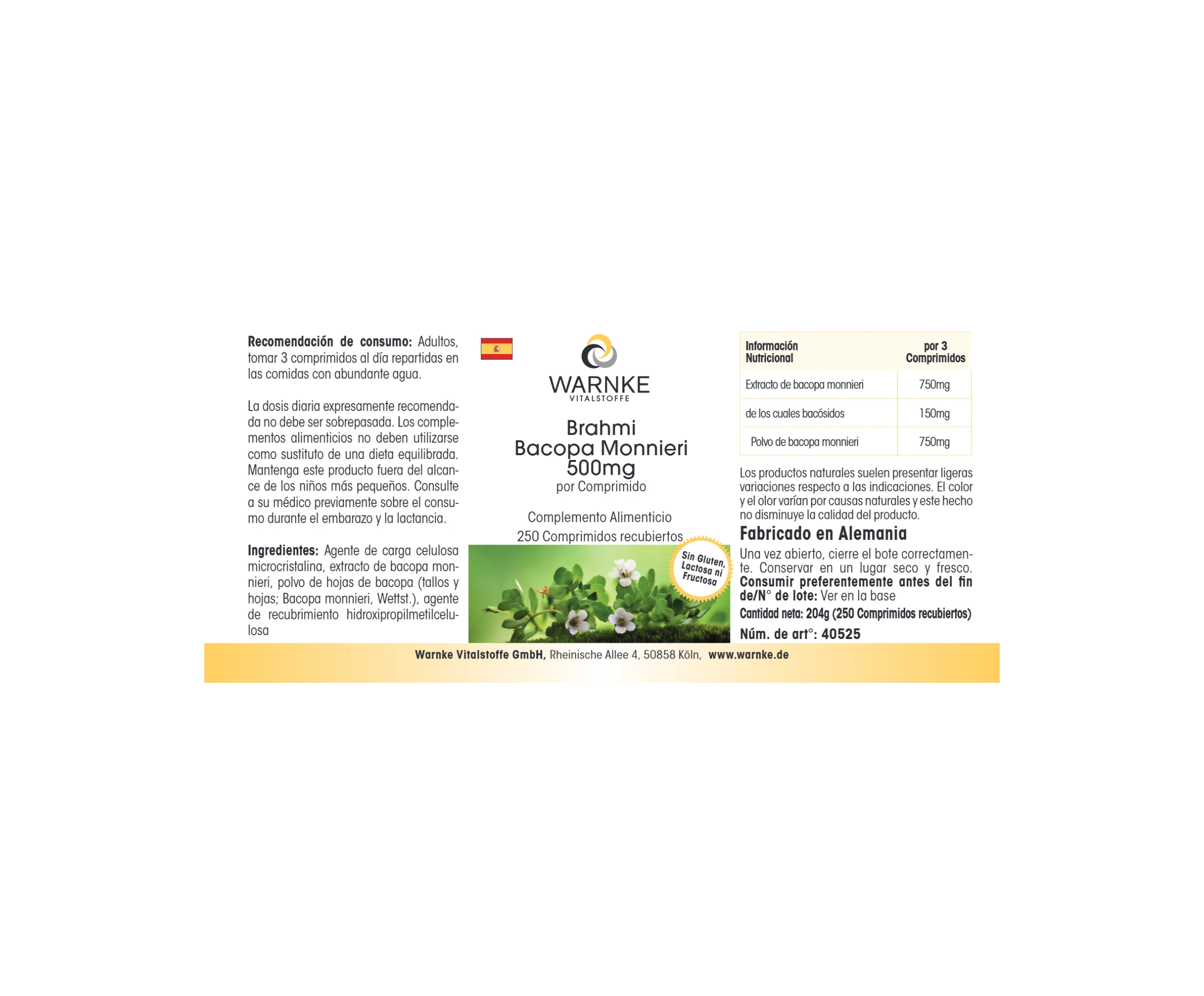 Brahmi Bacopa Monnieri 500mg - 250 comprimidos recubiertos con película - Vegano | Warnke Vitalstoffe
