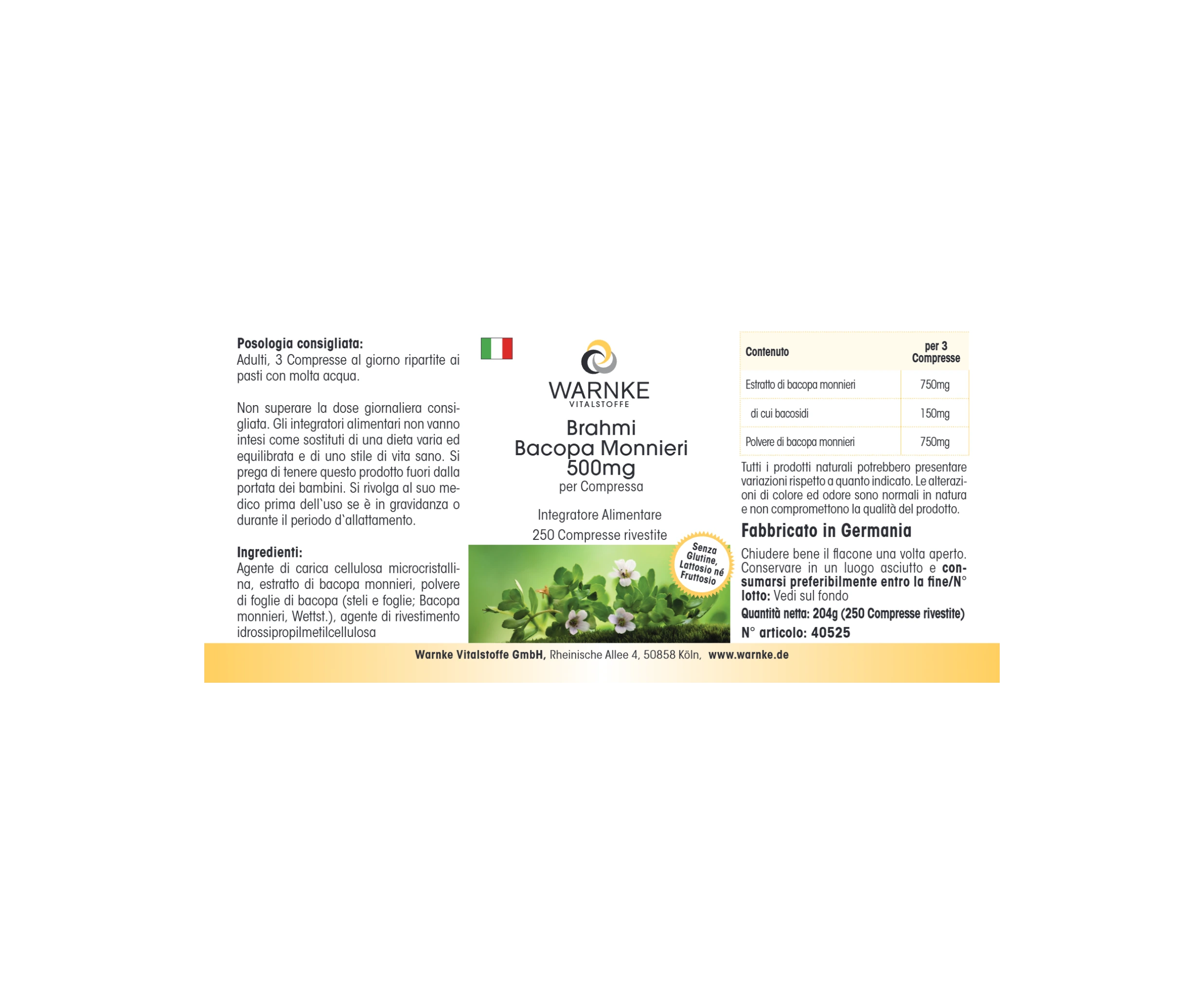 Brahmi Bacopa Monnieri 500mg - 250 comprimidos recubiertos con película - Vegano | Warnke Vitalstoffe