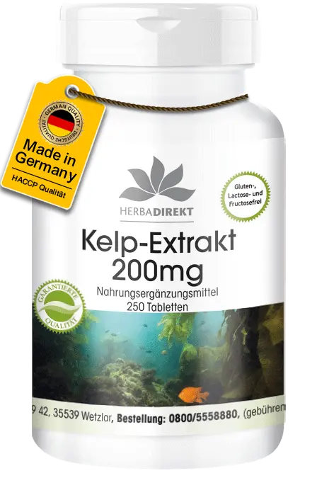 Kelp-Extrakt 200mg mit 300µg Jod 250 Tabletten
