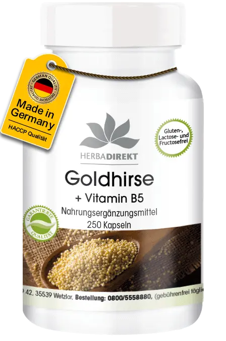 Goldhirse + Vitamin B5 + L-Cystein