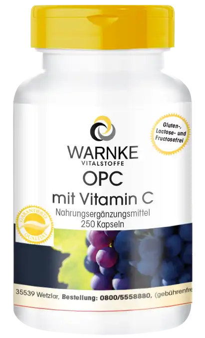 OPC mit Vitamin C 250 kapseln