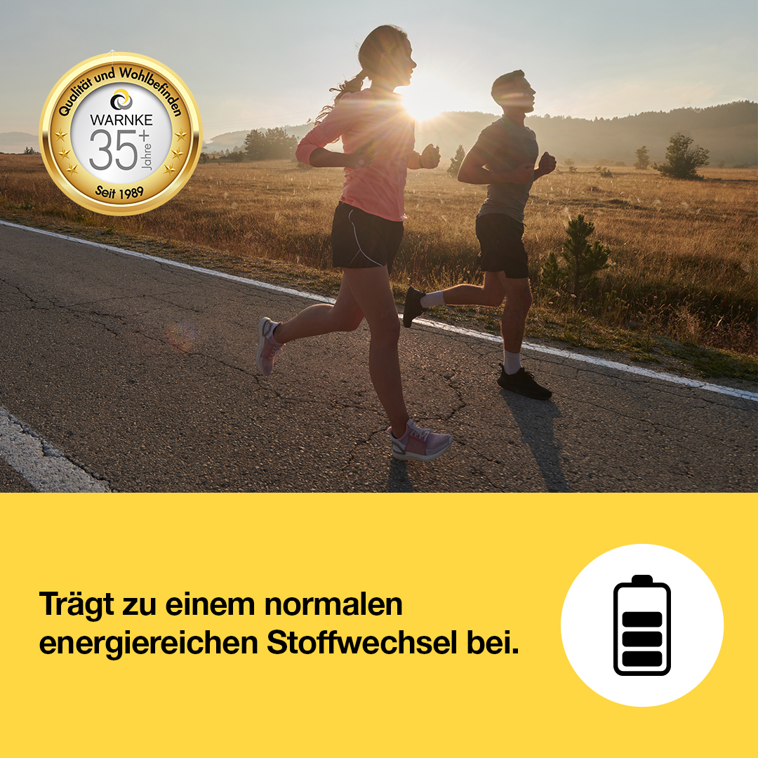 Vitamin B3 Niacin 500mg - 250 Tabletten - für Energie, Haut uvm. - hochdosiert & vegan | Warnke Vitalstoffe
