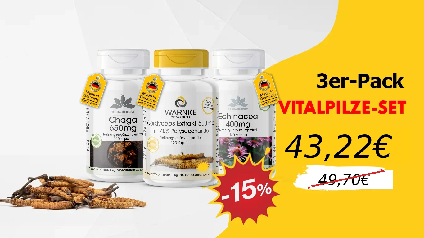 SET DE HONGOS VITALES | Set de 3