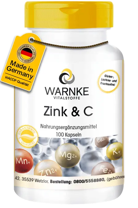 Zink & Vitamin C 100 Kapseln