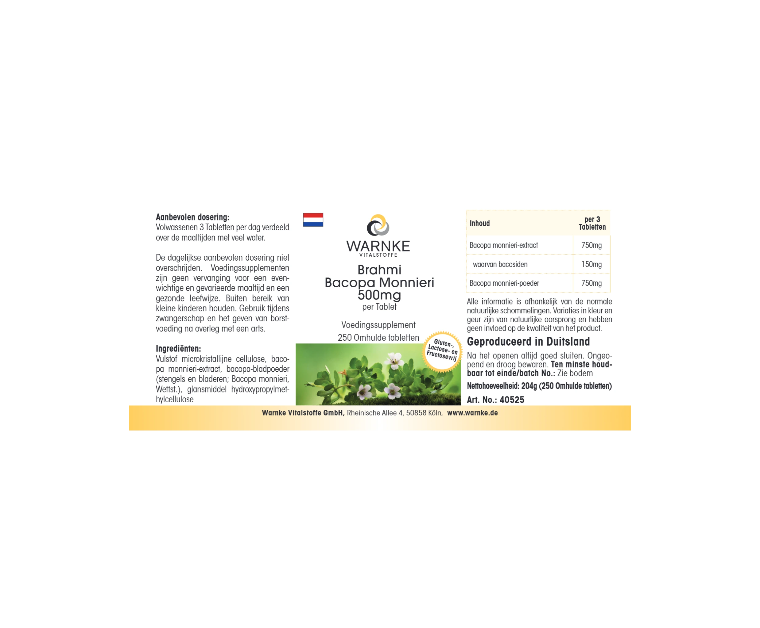 Brahmi Bacopa Monnieri 500mg - 250 comprimidos recubiertos con película - Vegano | Warnke Vitalstoffe