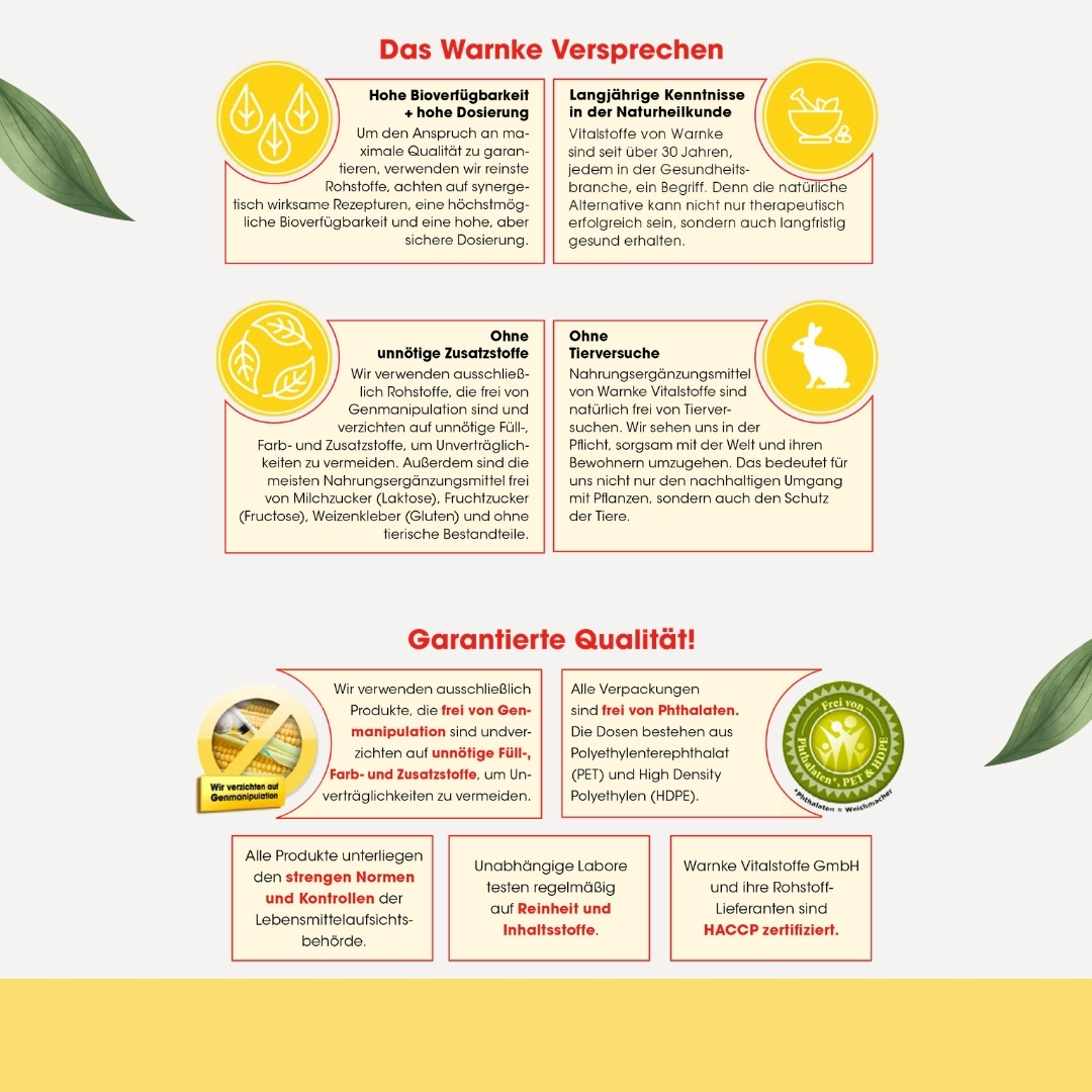 Jod 200μg - 250 Tabletten - für Schilddrüse, Haut uvm. - hochdosiert & vegan | Warnke Vitalstoffe