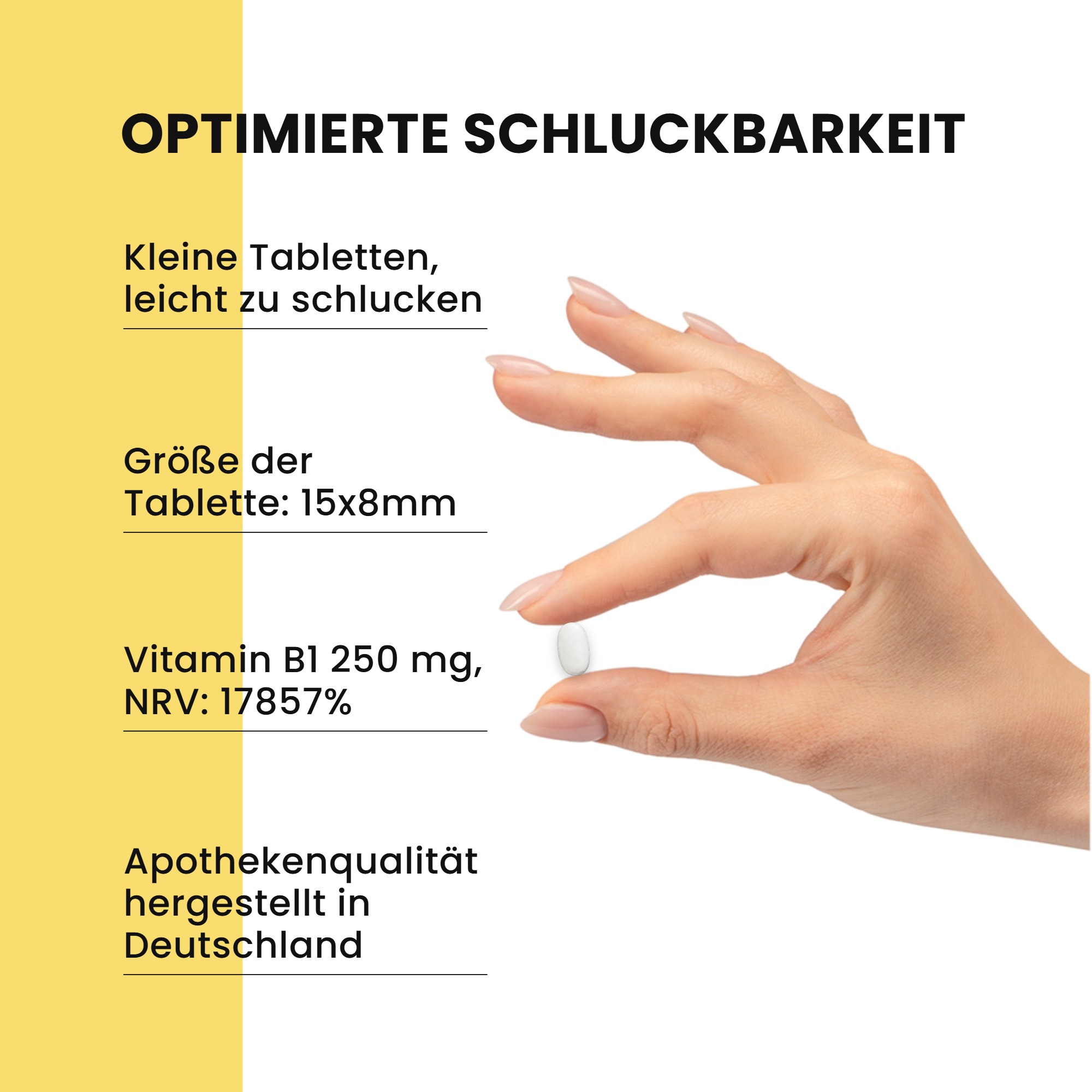 Vitamin B1 250mg - 100 Tabletten - für Energie, Herz uvm. - hochdosiert & vegan | Warnke Vitalstoffe