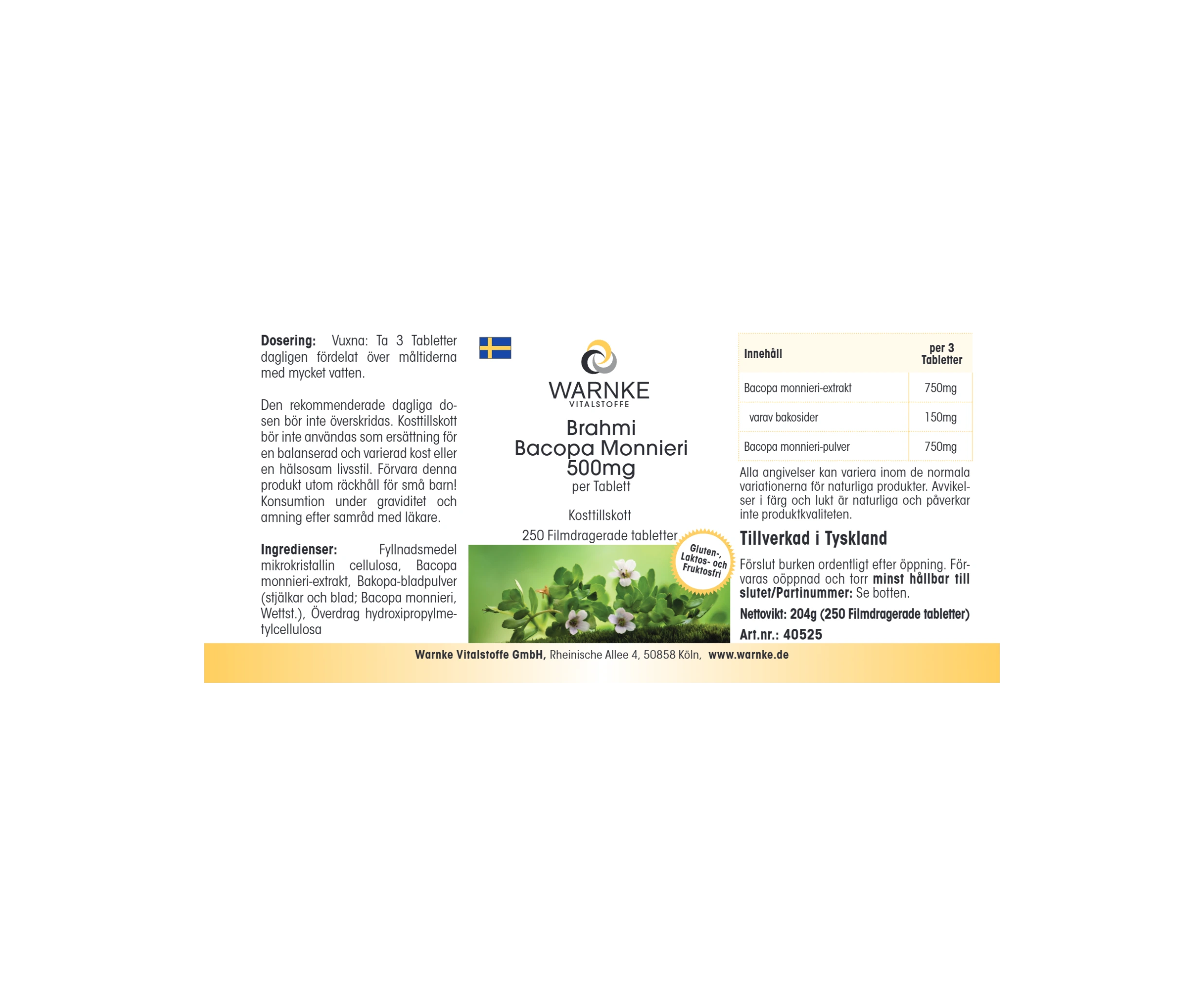 Brahmi Bacopa Monnieri 500mg - 250 comprimidos recubiertos con película - Vegano | Warnke Vitalstoffe