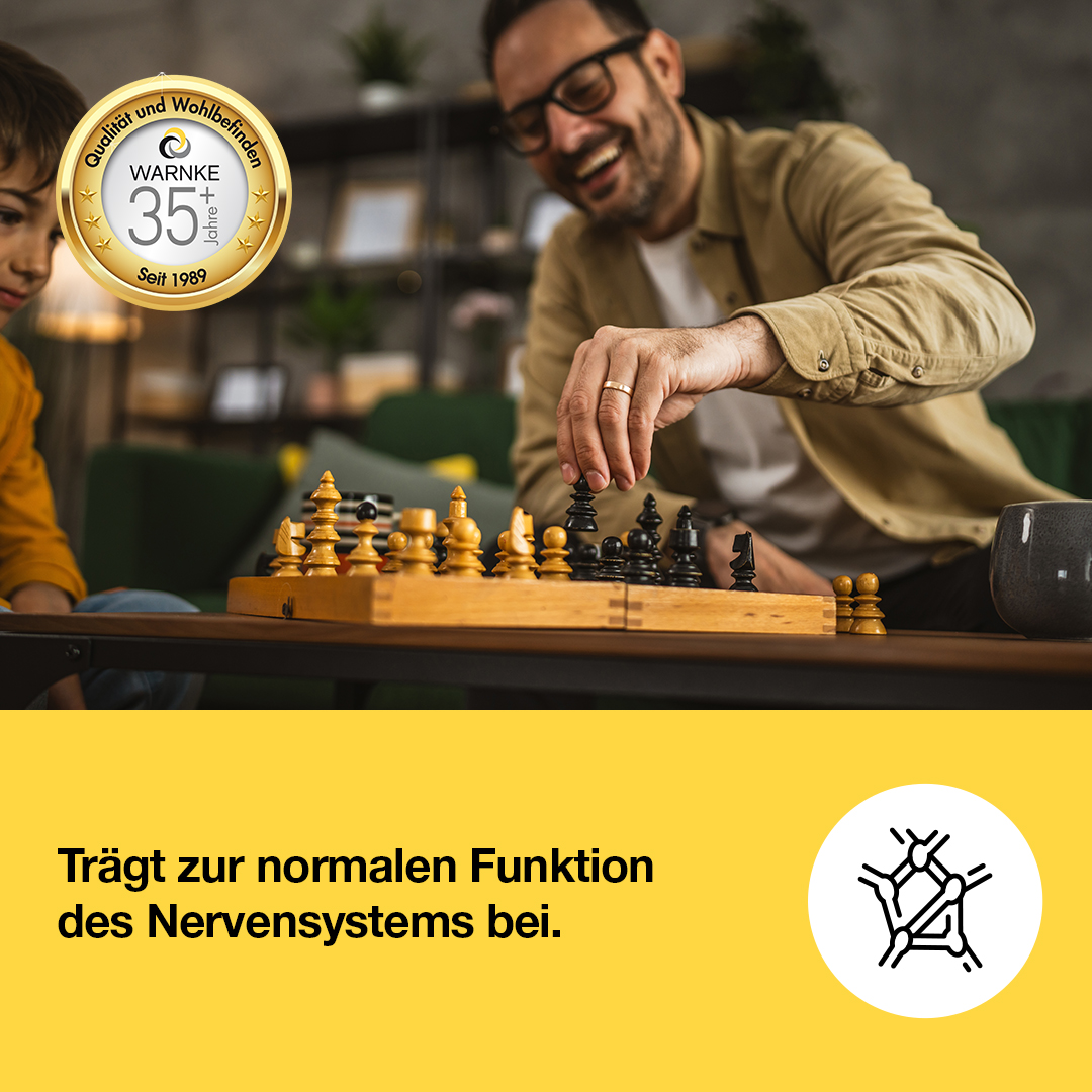 Vitamin B3 Niacin 500mg - 250 Tabletten - für Energie, Haut uvm. - hochdosiert & vegan | Warnke Vitalstoffe