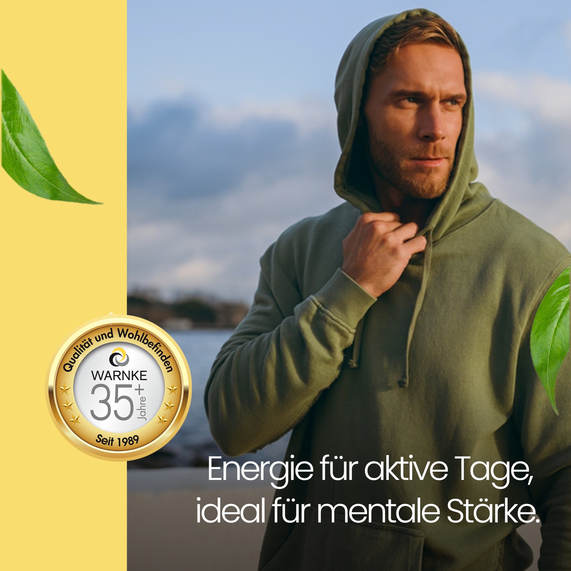 Vitamin B1 250mg - 100 Tabletten - für Energie, Herz uvm. - hochdosiert & vegan | Warnke Vitalstoffe