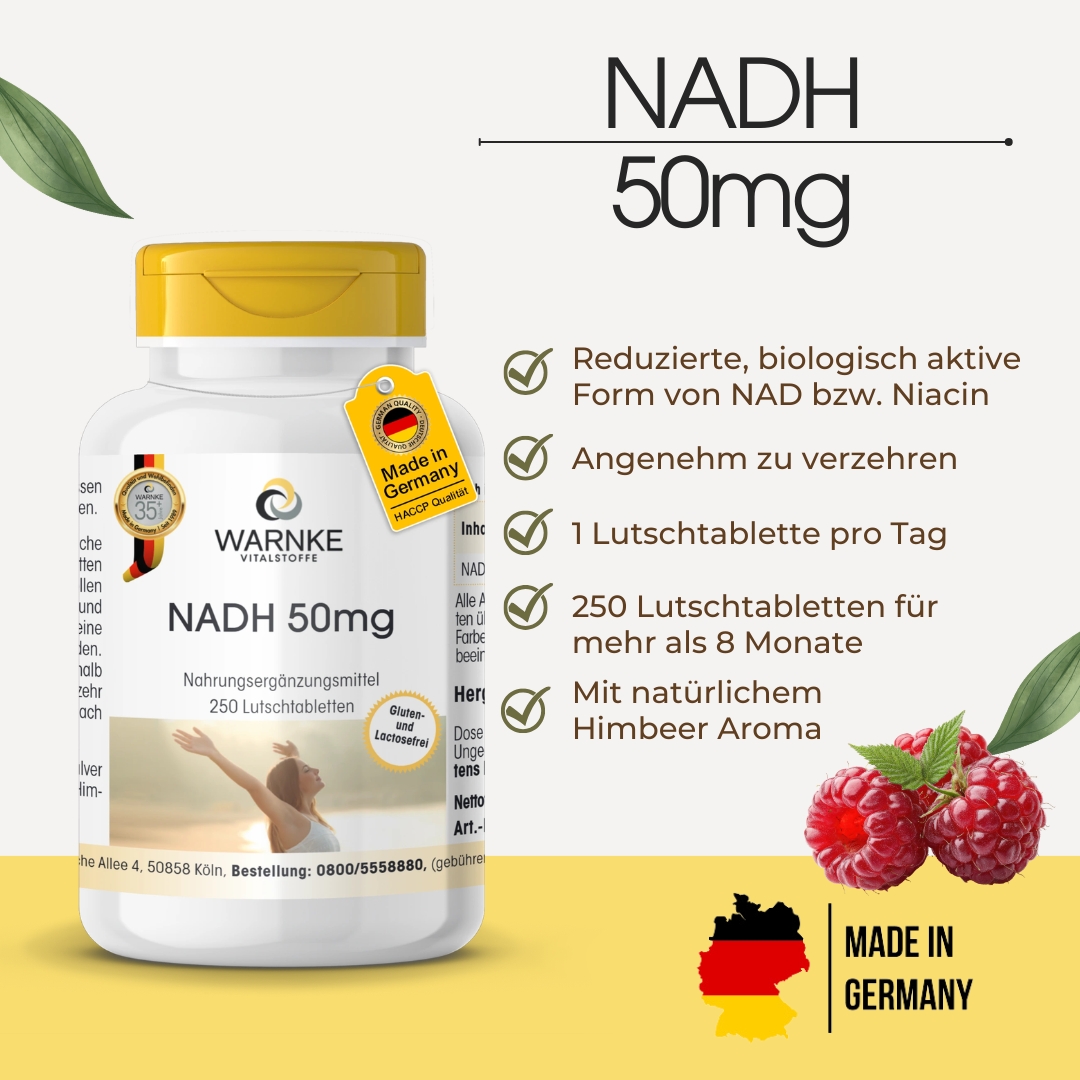 NADH 50mg - 250 comprimidos para chupar - vegano | Warnke Vitalstoffe