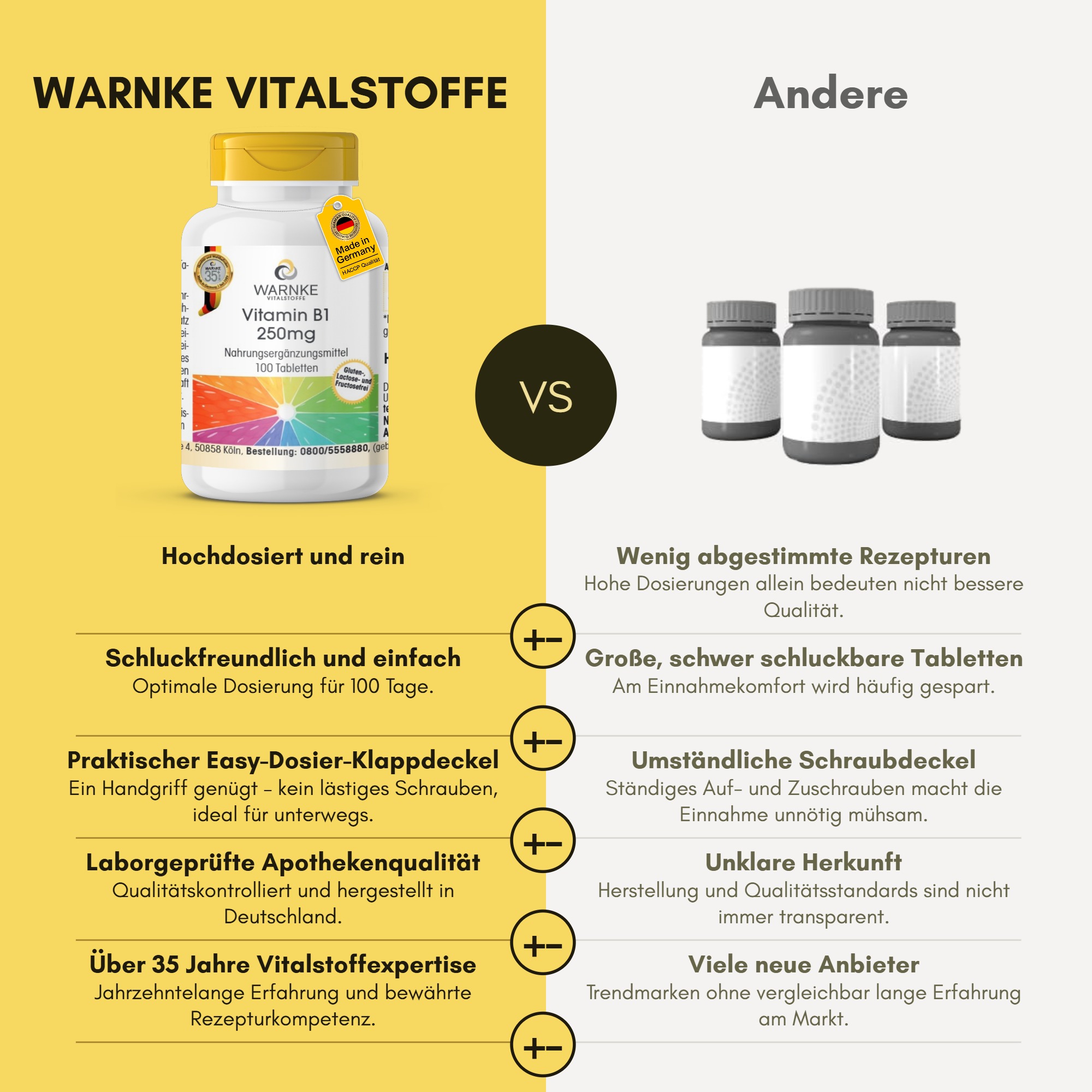 Vitamin B1 250mg - 100 Tabletten - für Energie, Herz uvm. - hochdosiert & vegan | Warnke Vitalstoffe