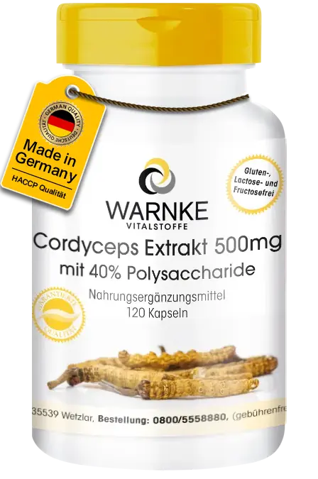 Cordyceps Extrakt 500mg, 40% Polysaccharide