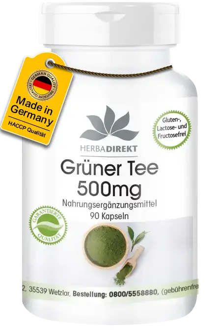 Grüner Tee Extrakt 500mg