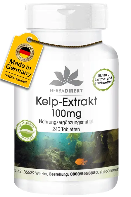Kelp-Extrakt 100 mg mit 150 µg Jod - 240 Tabletten - für Schilddrüse, Haut uvm. | Warnke Vitalstoffe Kelp-Extrakt 100 mg mit 150 µg Jod - 240 Tabletten - für Schilddrüse, Haut uvm. | Warnke Vitalstoffe