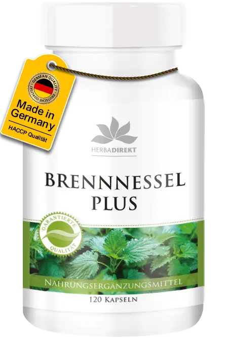 Brennnessel Plus Weihrauch-Extrakt und Yucca - 120 Kapseln - Hochdosiert & Vegan | Warnke Vitalstoffe Brennnessel Plus Weihrauch-Extrakt und Yucca - 120 Kapseln - Hochdosiert & Vegan | Warnke Vitalstoffe