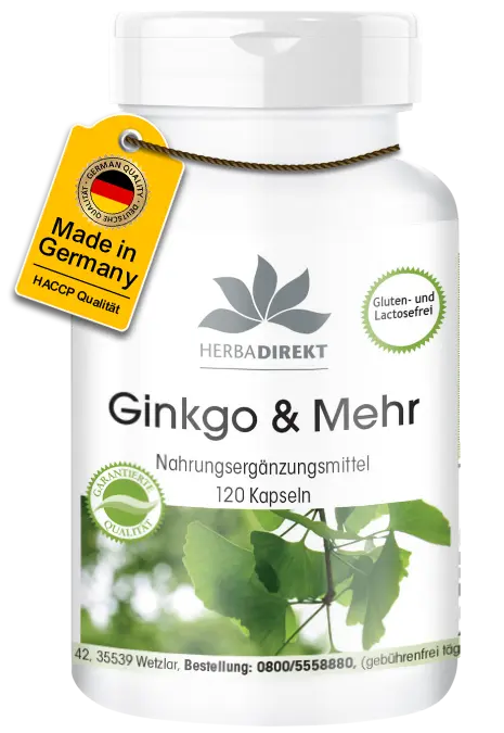 Ginkgo & Mehr - 120 Kapseln - Bacopa Monnieri-Extrakt mit Folsäure uvm. - Vegan | Warnke Vitalstoffe Ginkgo & Mehr - 120 Kapseln - Bacopa Monnieri-Extrakt mit Folsäure uvm. - Vegan | Warnke Vitalstoffe