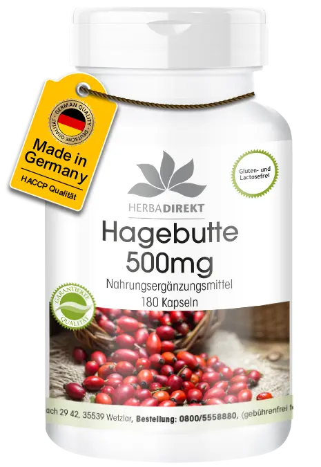 Hagebutte 500mg - 180 Kapseln - mit Vitamin C - Immunsystem, Kollagenbildung uvm. | Herba Direkt Hagebutte 500mg - 180 Kapseln - mit Vitamin C - Immunsystem, Kollagenbildung uvm. | Herba Direkt