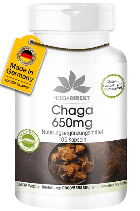 Chaga 650mg - 100 Kapseln - Hochdosiert & Vegan | Warnke Vitalstoffe Chaga 650mg - 100 Kapseln - Hochdosiert & Vegan | Warnke Vitalstoffe