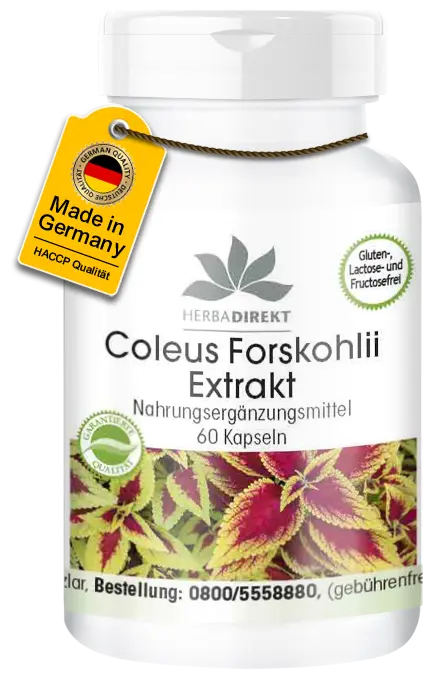 Coleus Forskohlii Extrakt 50mg - 60 Kapseln - Vegan | Warnke Vitalstoffe Coleus Forskohlii Extrakt 50mg - 60 Kapseln - Vegan | Warnke Vitalstoffe