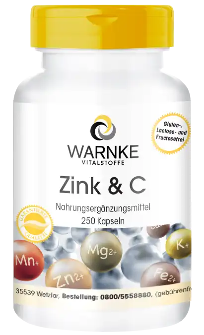 Zink & Vitamin C 250 Kapseln