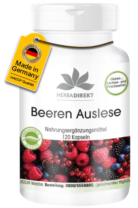 Beeren Auslese - 120 Kapseln - Hochdosiert & Vegan | Warnke Vitalstoffe Beeren Auslese - 120 Kapseln - Hochdosiert & Vegan | Warnke Vitalstoffe