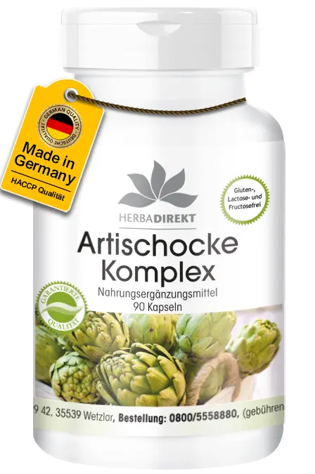 Artischocke Komplex - 90 Kapseln - Hochdosiert & Vegan | Warnke Vitalstoffe Artischocke Komplex - 90 Kapseln - Hochdosiert & Vegan | Warnke Vitalstoffe