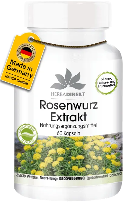 Estratto di radice di rosa canina 500mg Rhodiola rosea Estratto di radice di rosa canina 500mg Rhodiola rosea