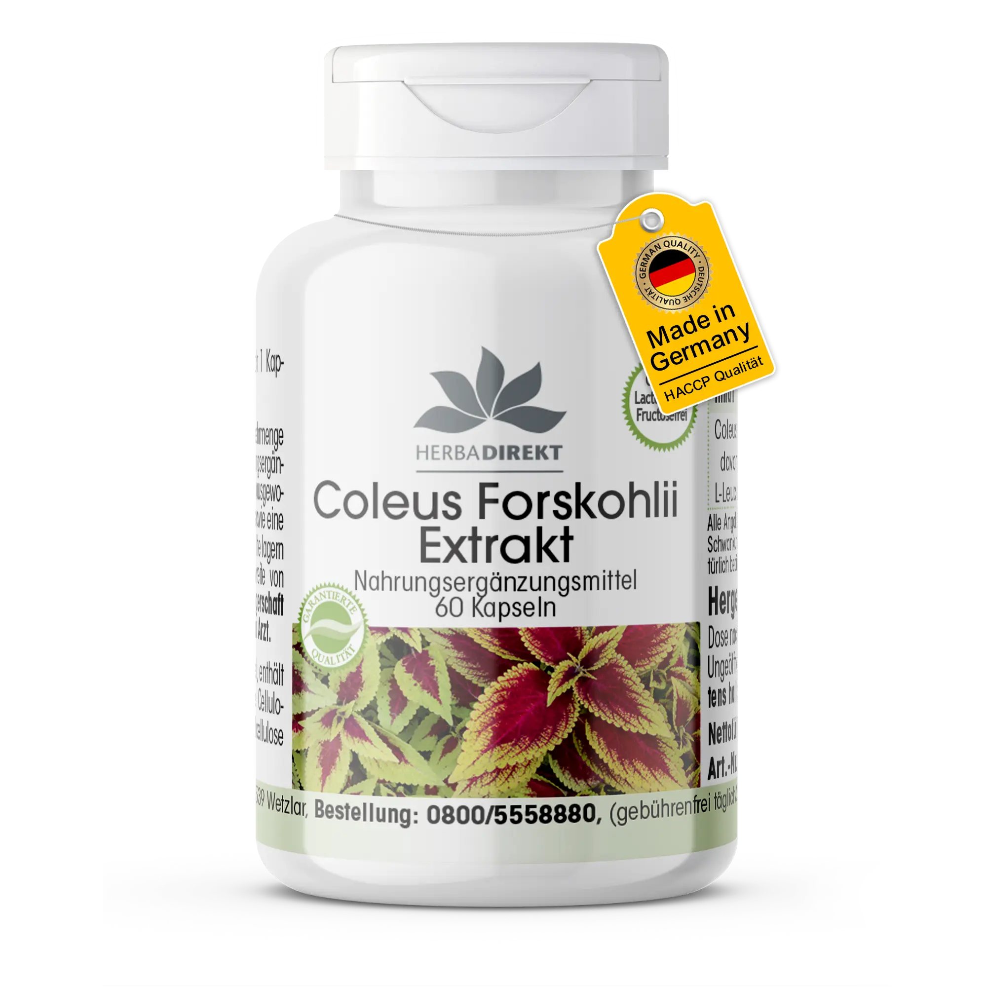 Estratto di Coleus Forskohlii 50mg