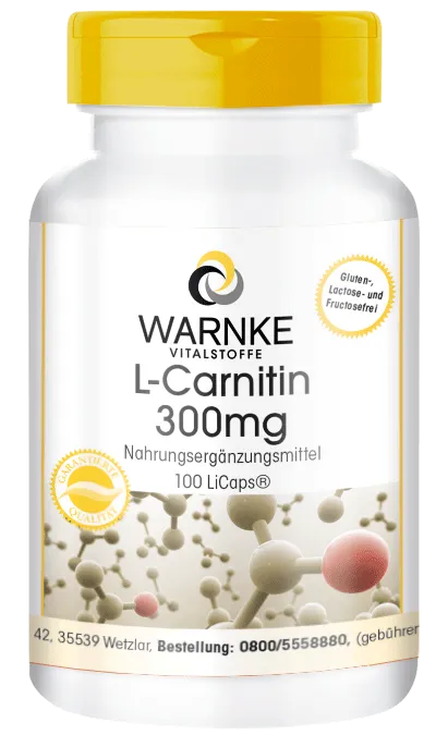 L-Carnitin 300mg 100 LiCaps
