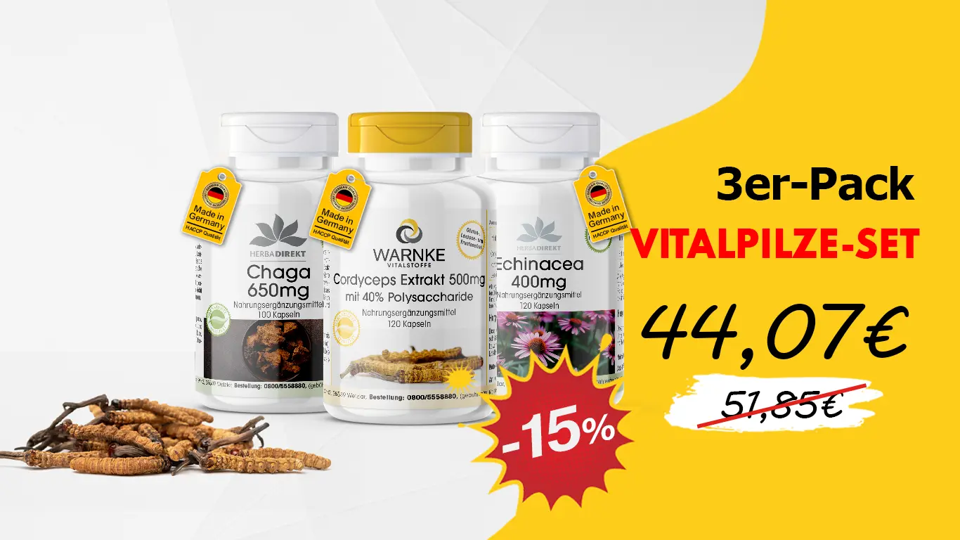 ENSEMBLE CHAMPIGNONS VITAUX | Lot de 3