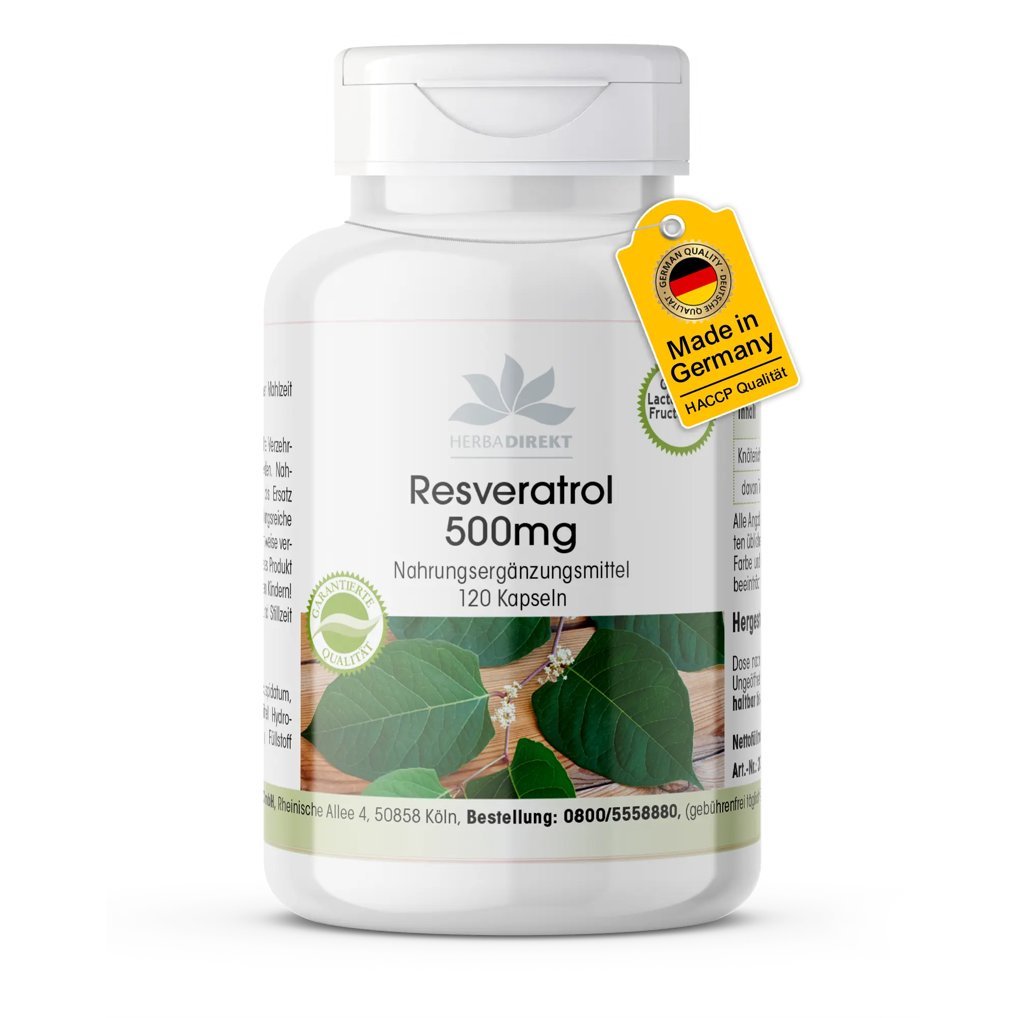 Resvératrol 500mg issu de la renouée persicaire