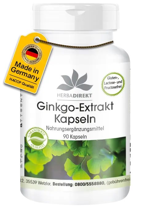 Ginkgo Biloba Extrakt 95mg