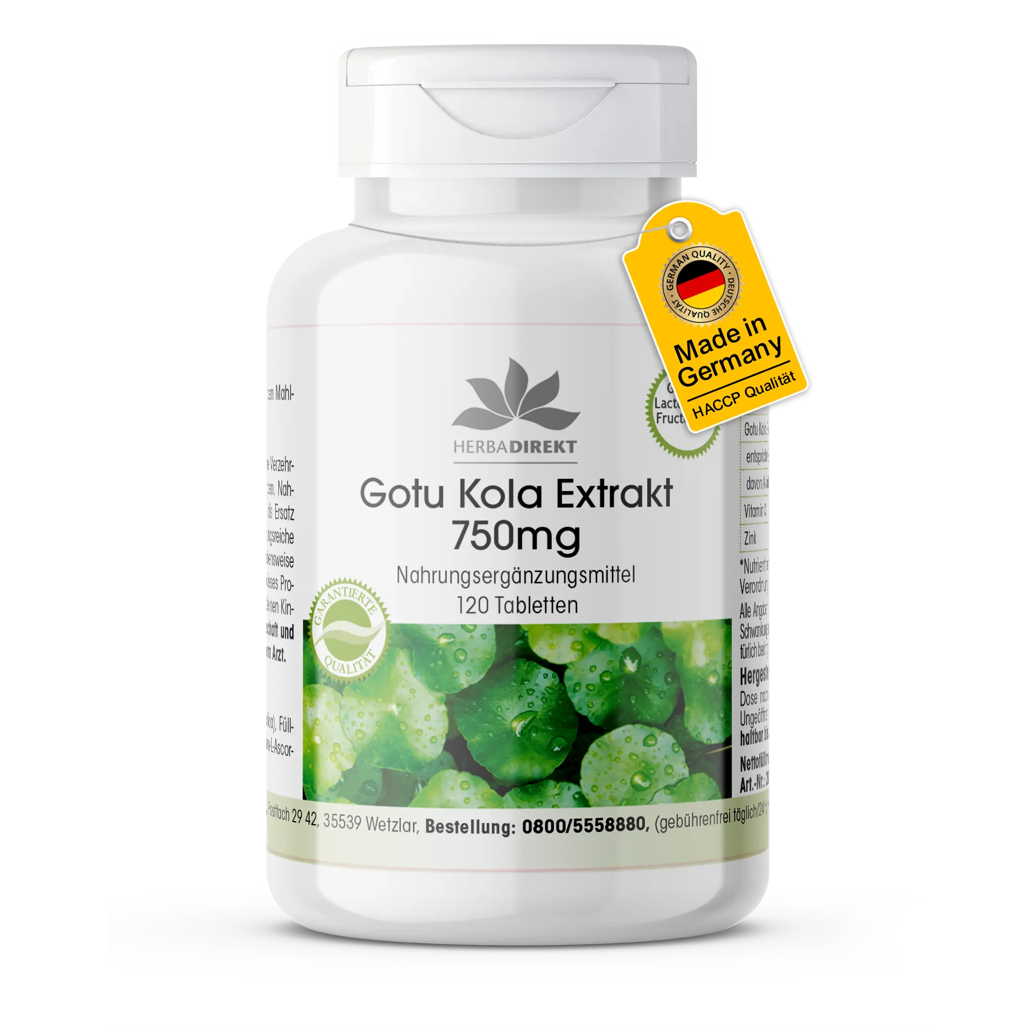Extrait de Gotu Kola 750mg