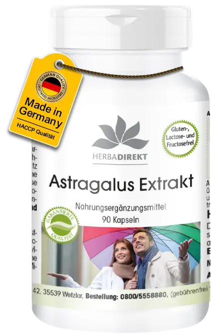 Astragalus-Extrakt - 90 Kapseln - Hochdosiert & Vegan | Warnke Vitalstoffe Astragalus-Extrakt - 90 Kapseln - Hochdosiert & Vegan | Warnke Vitalstoffe