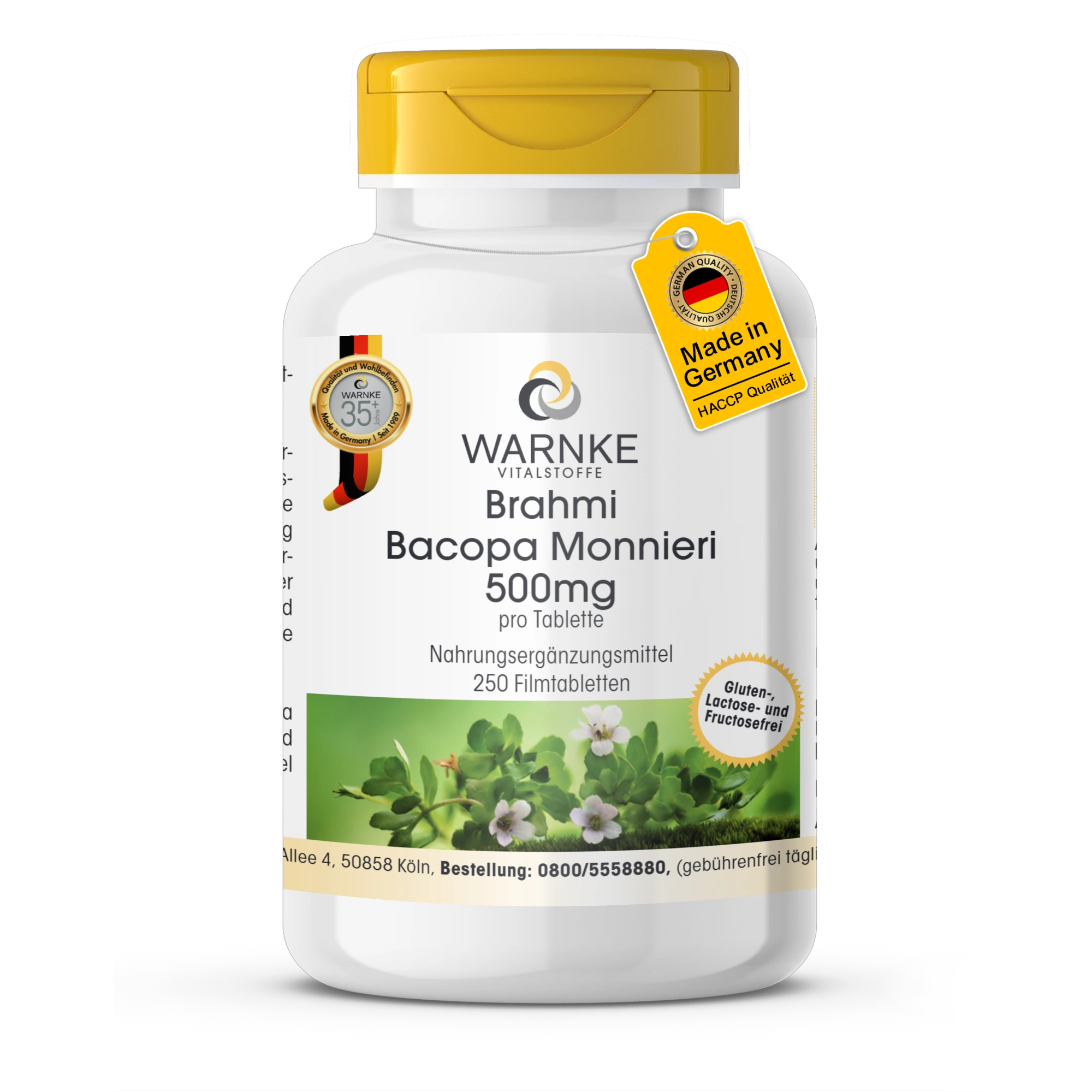 Brahmi Bacopa Monnieri 500mg - 250 Filmtabletten - vegan | Warnke Vitalstoffe