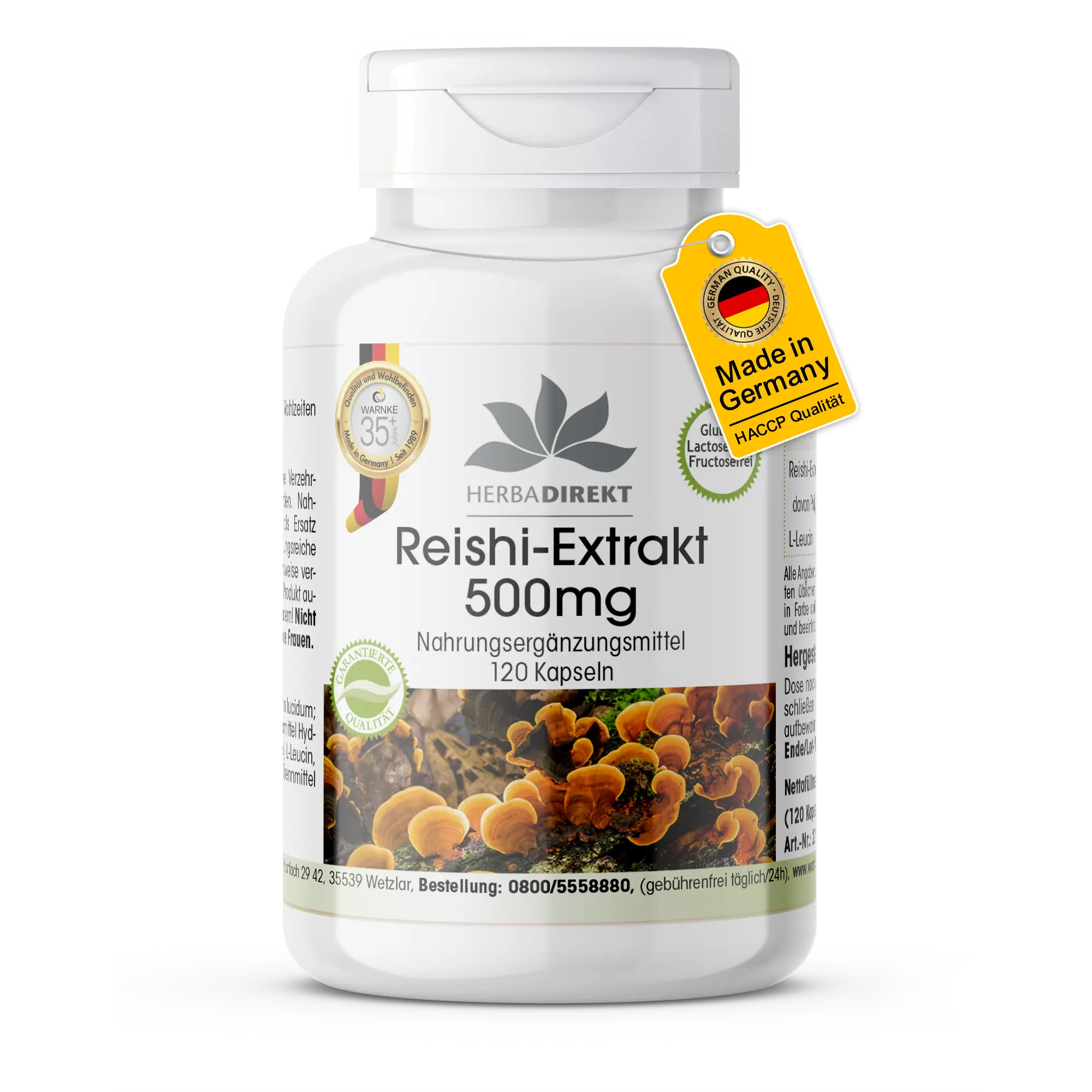 Estratto di reishi 500mg