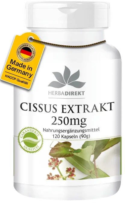 Cissus Extrakt 250mg - 120 Kapseln| Warnke Vitalstoffe Cissus Extrakt 250mg - 120 Kapseln| Warnke Vitalstoffe