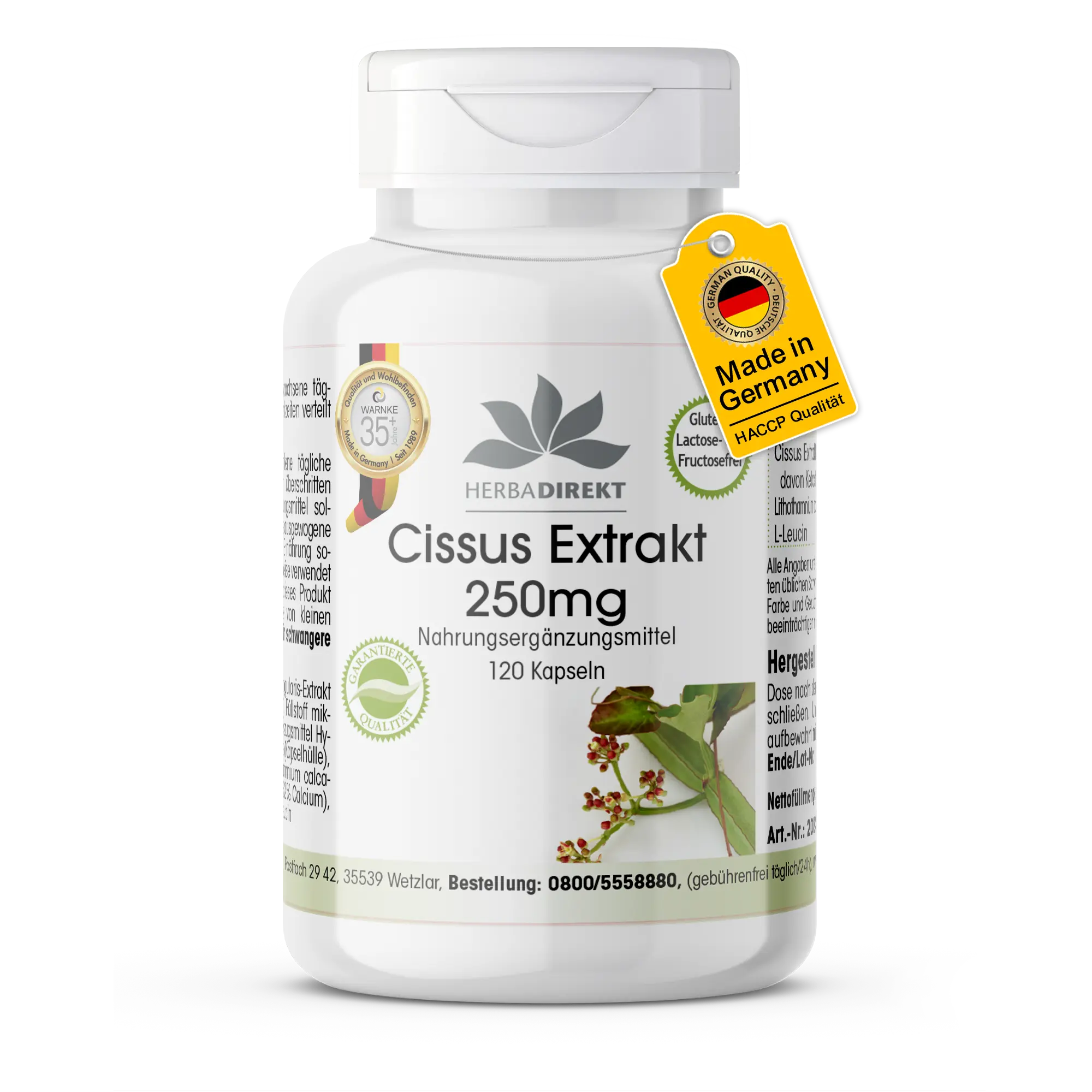 Extrait de cissus 250mg