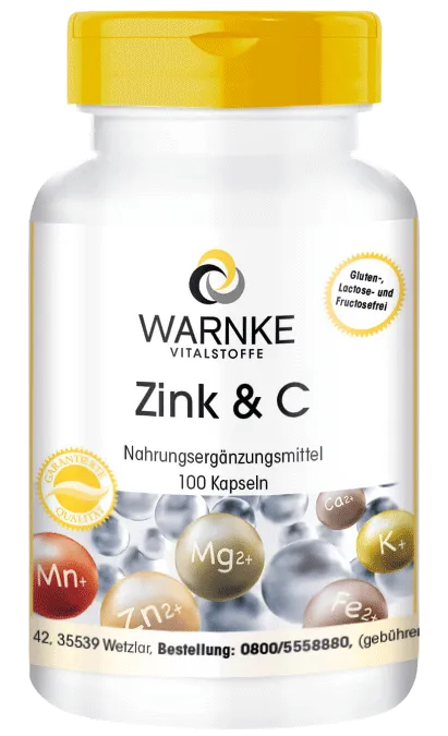 Zink & Vitamin C 100 Kapseln
