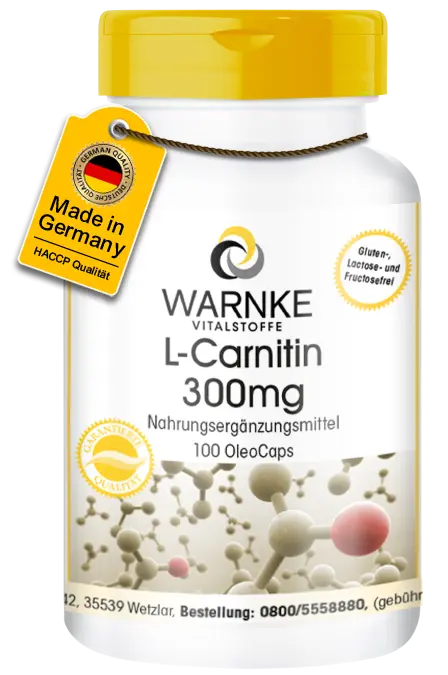 L-Carnitin 300mg - 100 LiCaps - Vegan | Warnke Vitalstoffe L-Carnitin 300mg - 100 LiCaps - Vegan | Warnke Vitalstoffe