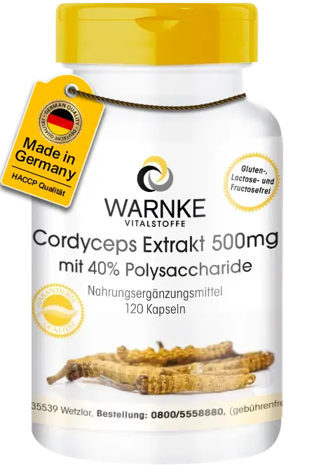 Extrait de cordyceps 500mg, 40% de polysaccharides Extrait de cordyceps 500mg, 40% de polysaccharides
