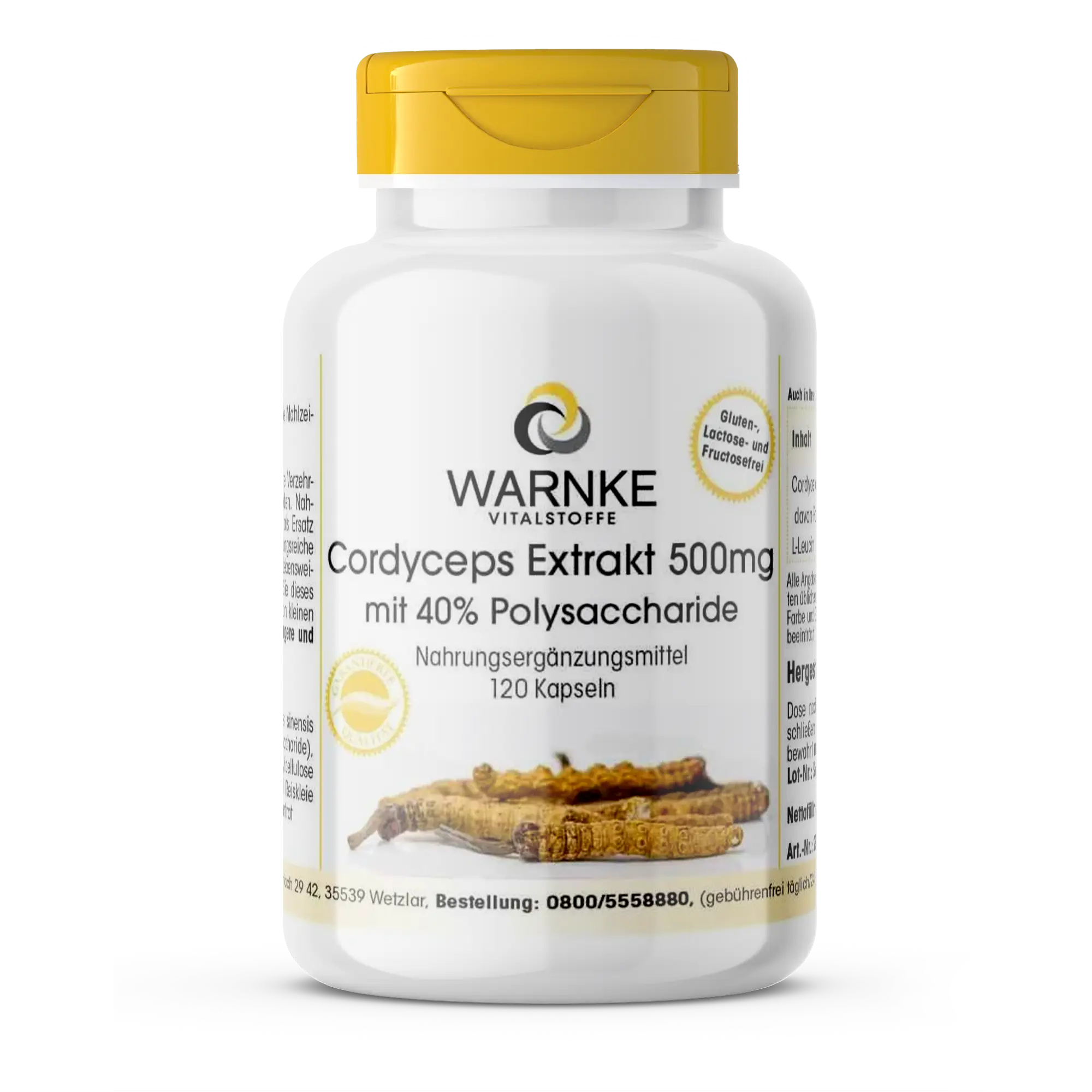 Extrait de cordyceps 500mg, 40% de polysaccharides