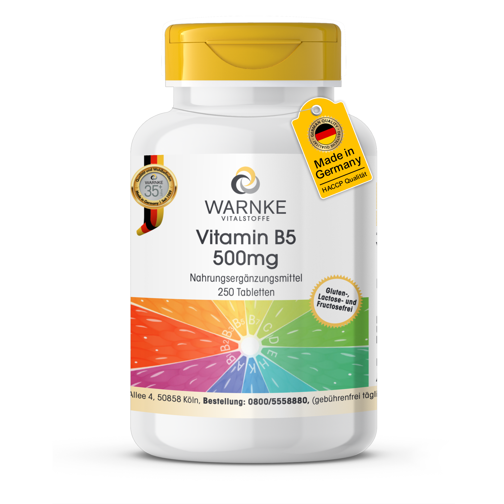 Vitamin B5 500mg - 250 Tabletten - für geistige Leistungsfähigkeit, Energie uvm. - hochdosiert & vegan | Warnke Vitalstoffe