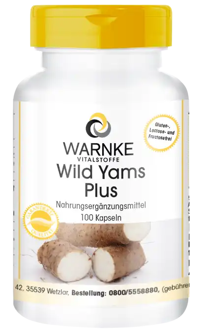 Wild Yam Extrakt mit Vitamine 100 Kapseln